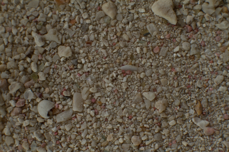 Curacao, Jan Thielbaai